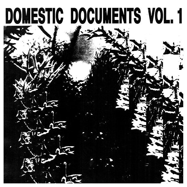 Va - Domestic Documents Vol. 1: Compiled by Butter Sessions and Noise In My Head Vinyl Record