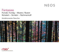 Fantasias Music CD