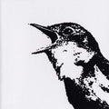 Nightingale Variations Music CD