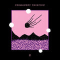 Permanent Vacation 5 Music CD