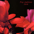 Pop Ambient 2010 Vinyl Record