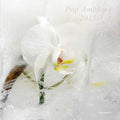 Pop Ambient 2015 Music CD