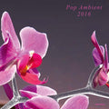 Pop Ambient 2016 Vinyl Record