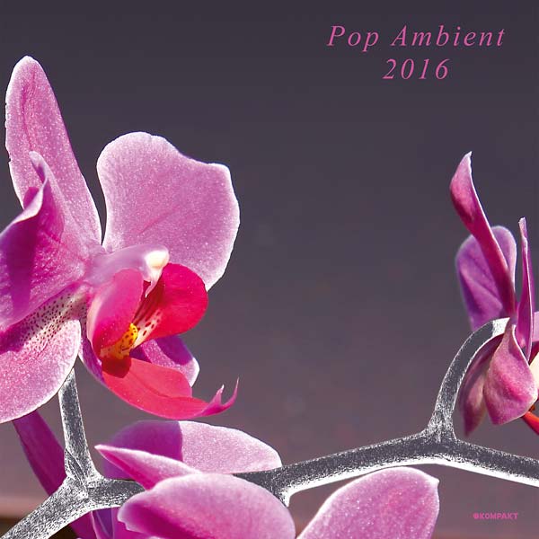 Pop Ambient 2016 Vinyl Record
