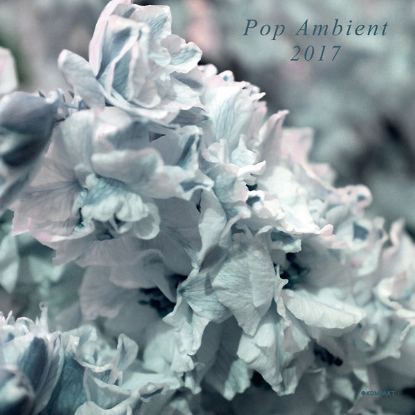 Pop Ambient 2017 Music CD