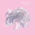 Pop Ambient 2022 Music CD
