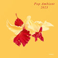 Pop Ambient 2023 Vinyl Record
