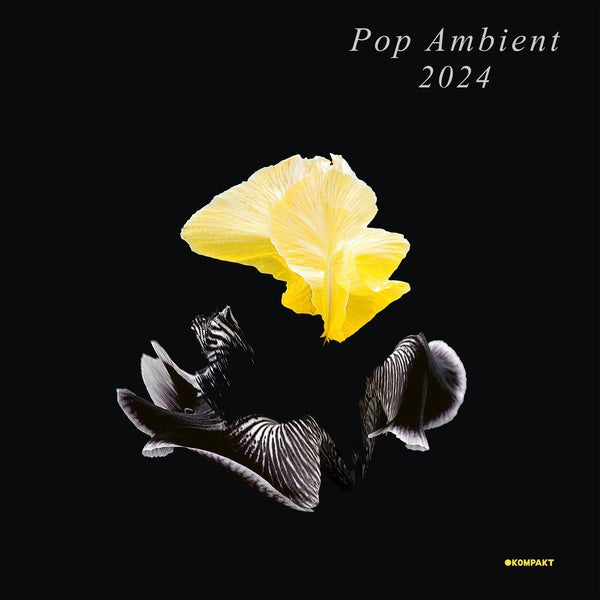 Pop Ambient 2024 Vinyl Record