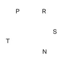 PRSNT Vinyl Record