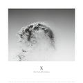 X -- Ten Years Of Artefacts Vinyl Record