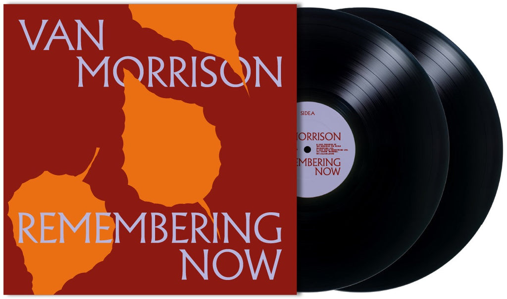 Remembering Now (2 LP) Vinyl Record