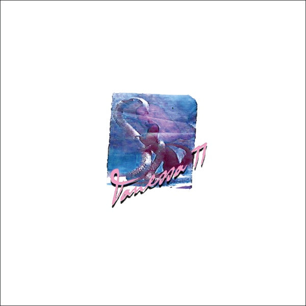Vanessa 77 Vinyl Record