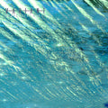 Sequential Sleep [ver1.2] Music CD