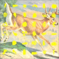 Fields and Streams Music CD