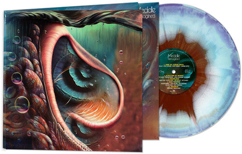 Meddle Reimagined: A Tribute To Pink Floyd (Colored Vinyl) Vinyl Record