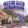 Motor City Is Burning: A Michigan Anthology 1965-1972 [Import] (3 Cd's) Music CD