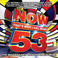 NOW THAT'S WHAT I CALL MUSIC VOL. 53 |