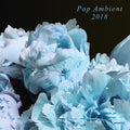 Pop Ambient 2018 Vinyl Record