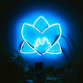 Radiating Light (Vinyl) Vinyl Record