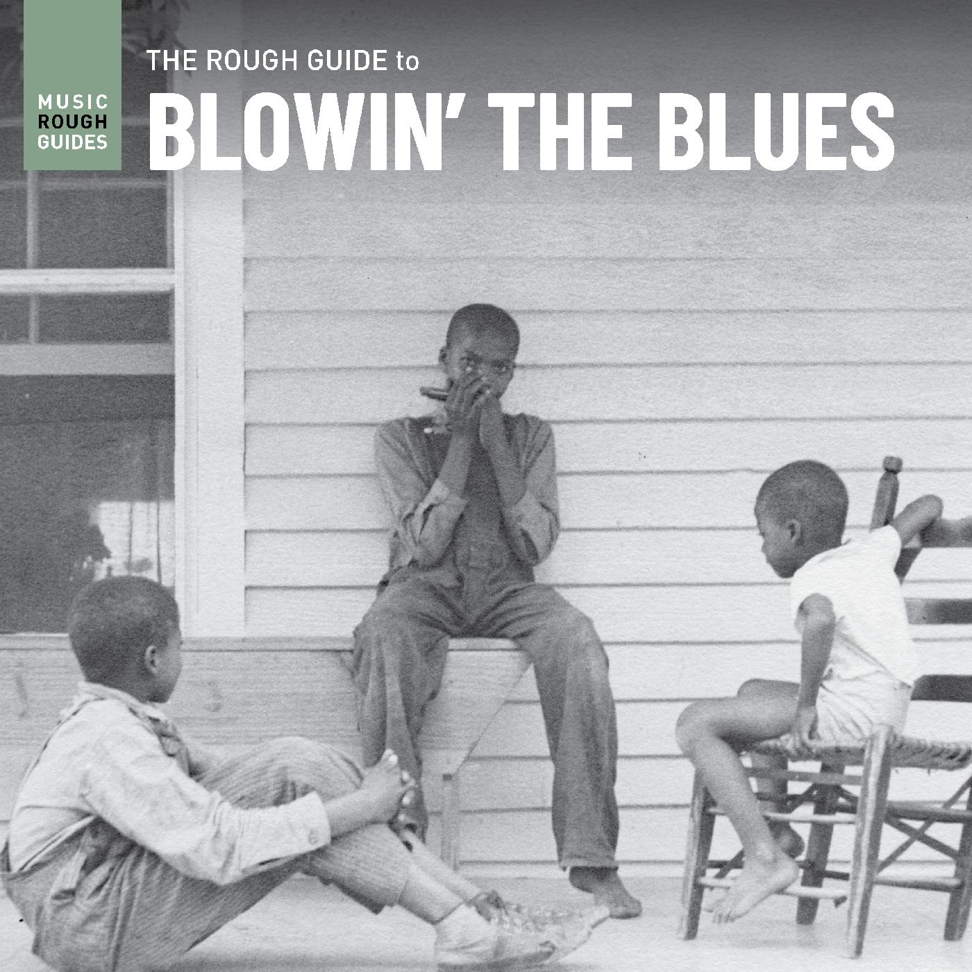 Rough Guide To Blowin‚Äô The Blues Vinyl Record