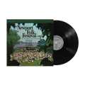 The Newport Folk Festival, 1963: The Evening Concerts, Vol. 2 [LP] |