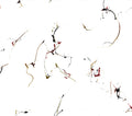 Winged Serpents - Encomiums For Cecil Taylor Music CD