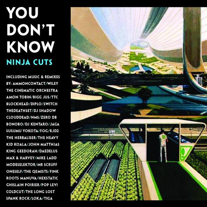 You Don't Know: Ninja Cuts Music CD