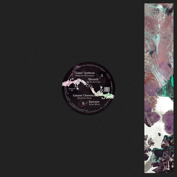Acid Explorations Vinyl Record