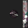 Acid Explorations |