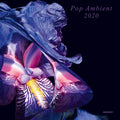 Pop Ambient 2020 |