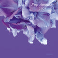 Pop Ambient 2025 Music CD
