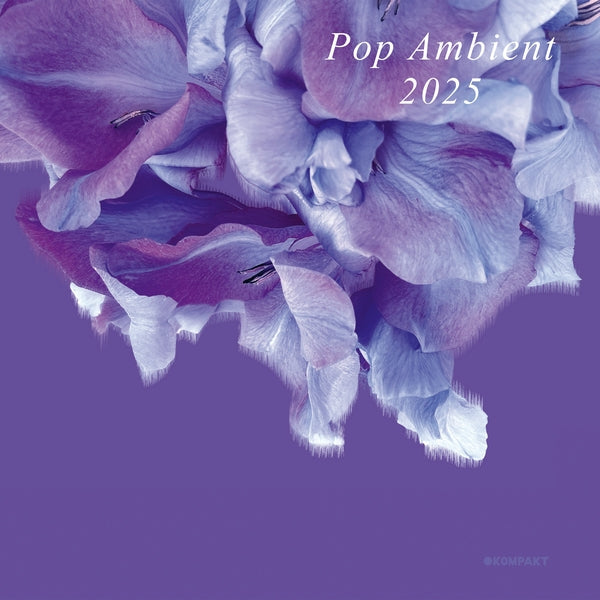 Pop Ambient 2025 Music CD