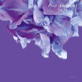 Pop Ambient 2025 Vinyl Record
