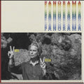 Panorama Vinyl Record