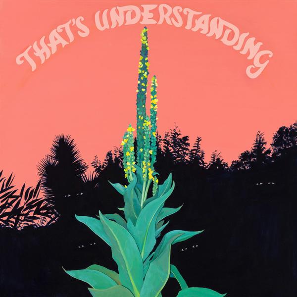 That's Understanding Vinyl Record