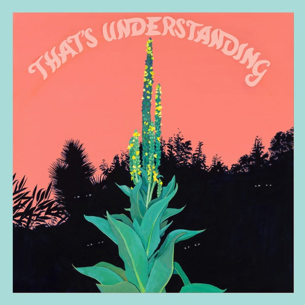 That's Understanding |