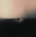 To Love A Thing That Fades Music CD