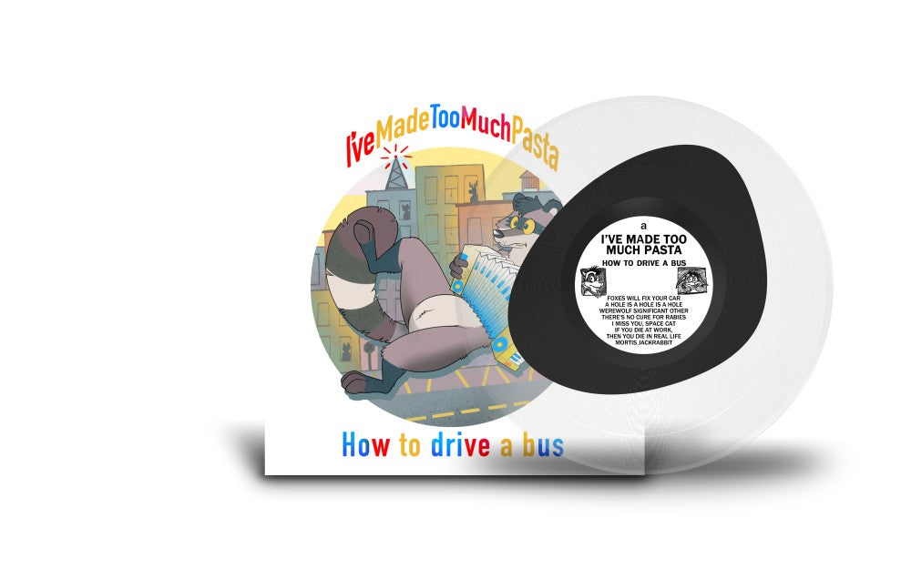 How to Drive a Bus - Hole is a Hole LP Vinyl Record