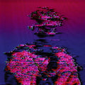 The Chosen Themes - Program II Vinyl Record
