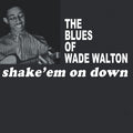 Shake 'Em On Down Vinyl Record