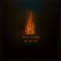 Wailin Storms - The Arsonist Music CD