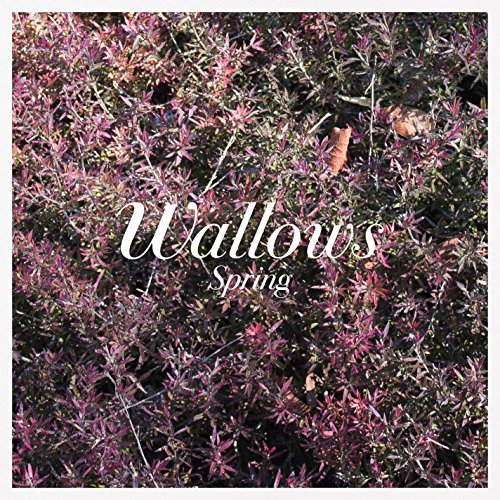 Wallows - Spring (COLOR VINYL) |