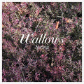 Wallows - Spring (COLOR VINYL) |