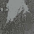 Urals Music CD