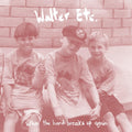 When The Band Breaks Up Again (SEAFOAM GREEN VINYL) Vinyl Record