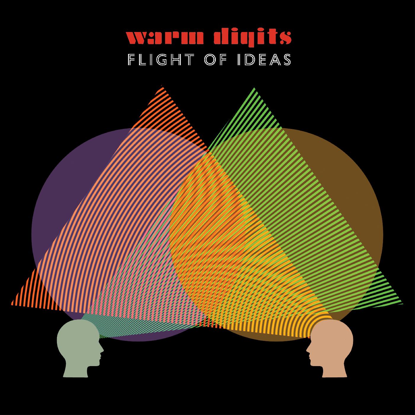 Flight of Ideas Vinyl Record