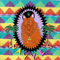 Wavves - King of the Beach Vinyl Record