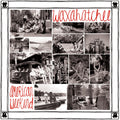 Waxahatchee - American Weekend (Red/White Swirl Vinyl) Vinyl Record