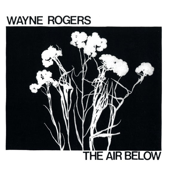 The Air Below Vinyl Record