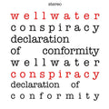 Declaration of Conformity Vinyl Record